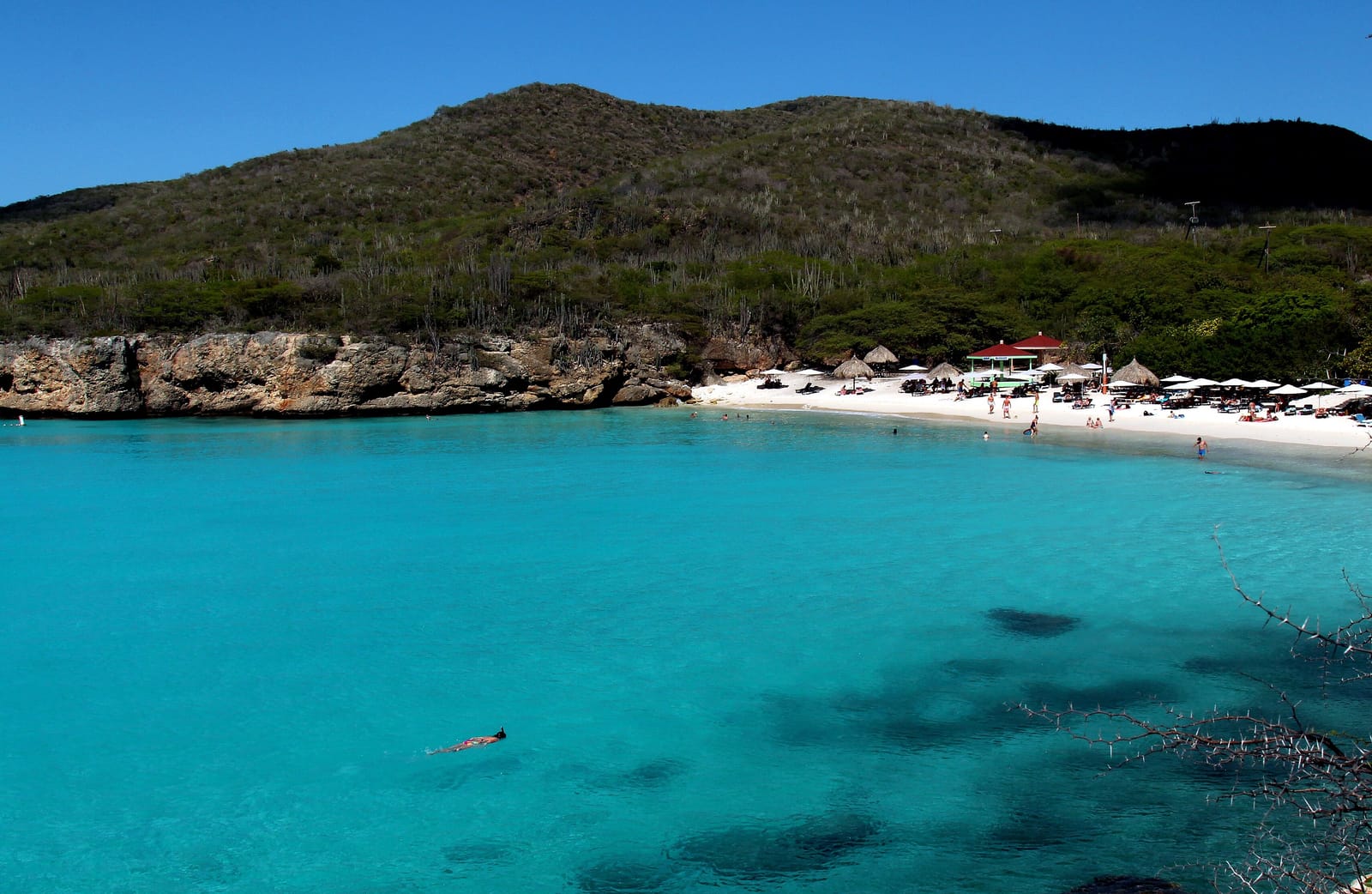 A Caribbean bay on Curaçao in strong midday sun: brilliant turquoise water, a bright white-sand beach with thatched shade, and a green headland behind it