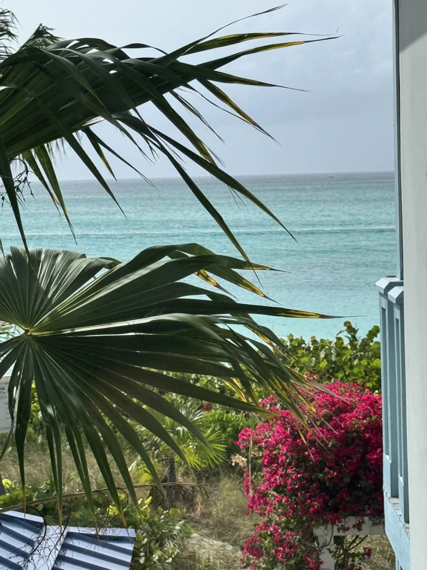 Turquoise ocean seen between two large palm fronds from a raised deck. A pale blue timber railing runs along the right, magenta bougainvillea flowers below it, dune scrub sits between the deck and the shore, and the edge of a blue-and-white striped roof shows at the lower left.